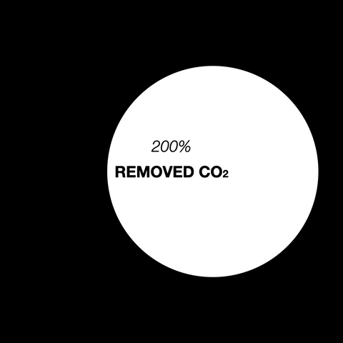 The Arketype: 200% removed CO2